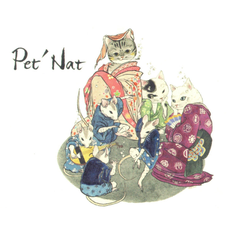 B196 CHANTEREVES VdF PET NAT MATSURI (L2023PN) 750ml